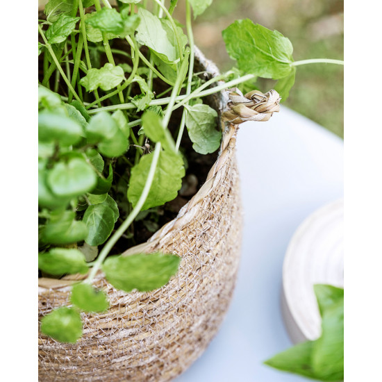 Basket, HDHang, Nature