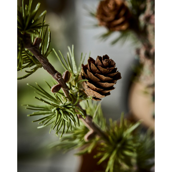 Kerstboom, HDStay, Groen