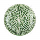 LOTUS - dessertbord - porselein - DIA 22 x H 2,5 cm - groen