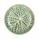 LOTUS - blate - porselein - DIA 20,3 x H 4,5 cm - groen