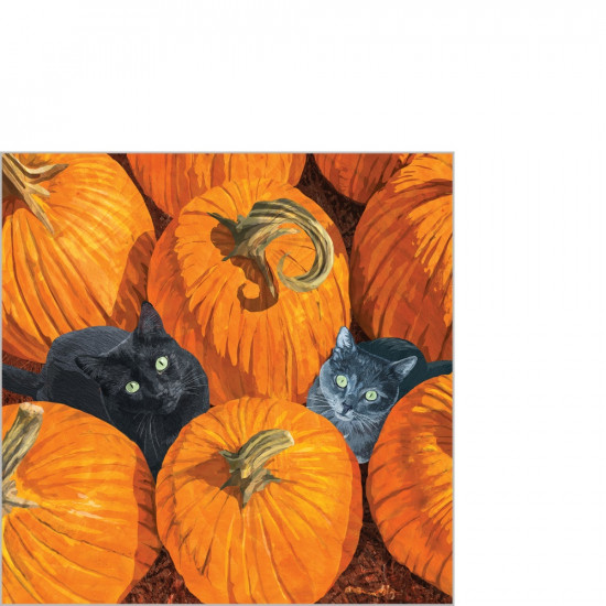 Pumpkin Patch Cats Napkin 25x25