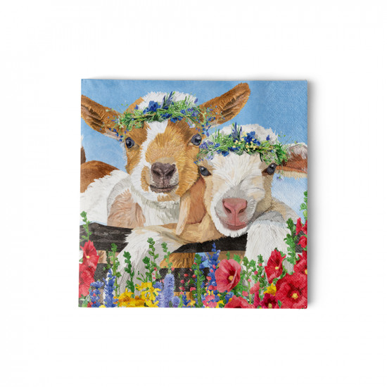 Gary & Gracie Napkin 25x25