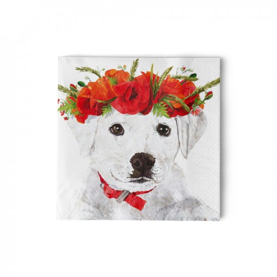 Enzo's Spring Napkin 25x25