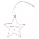 Ornament Star