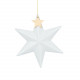 Porcelain star Gold star D:10cm